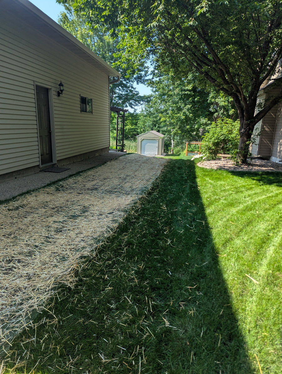 Grading & Lawn Installation